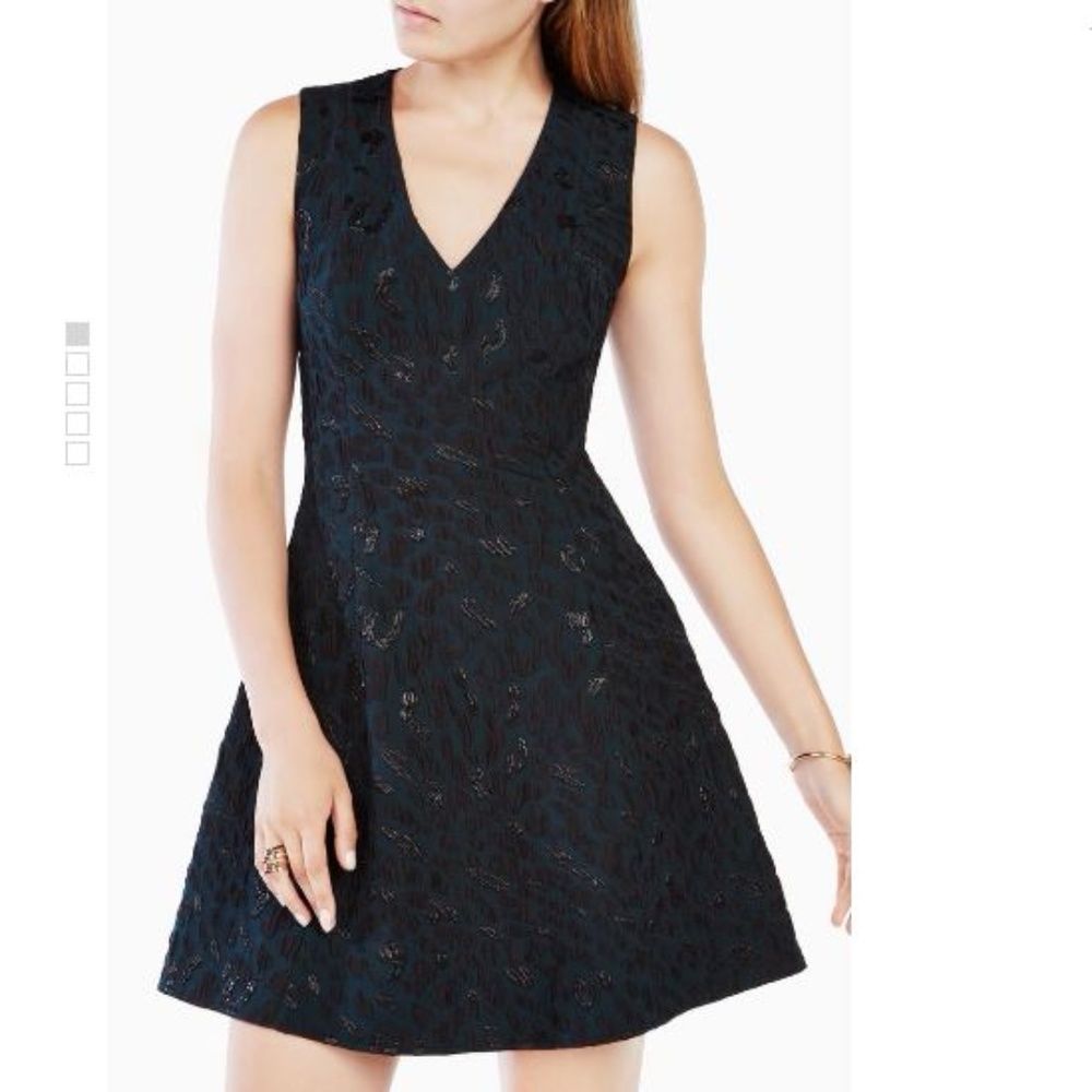 BCBG Leopard Jacquard Dress